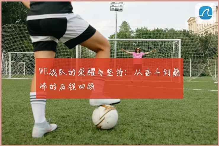 WE战队的荣耀与坚持：从奋斗到巅峰的历程回顾