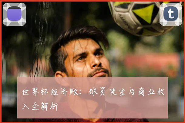 世界杯经济账:球员奖金与商业收入全解析