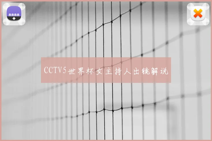CCTV5世界杯女主持人出镜解说