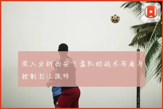 深入分析西安飞盘队的战术布局与控制打法技巧