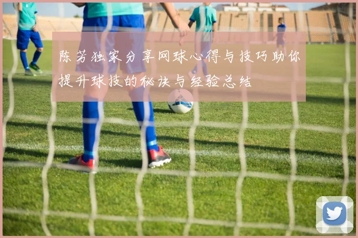 陈芳独家分享网球心得与技巧助你提升球技的秘诀与经验总结