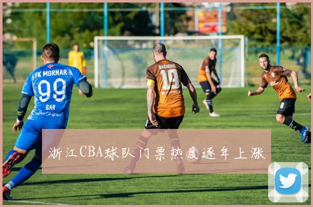 浙江CBA球队门票热度逐年上涨