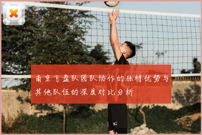 南京飞盘队团队协作的独特优势与其他队伍的深度对比分析