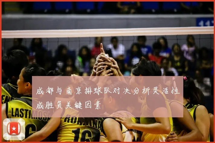成都与南京排球队对决分析灵活性成胜负关键因素