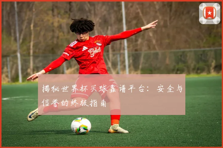 揭秘世界杯买球靠谱平台:安全与信誉的终极指南