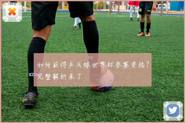 如何获得乒乓球世界杯参赛资格？完整解析来了