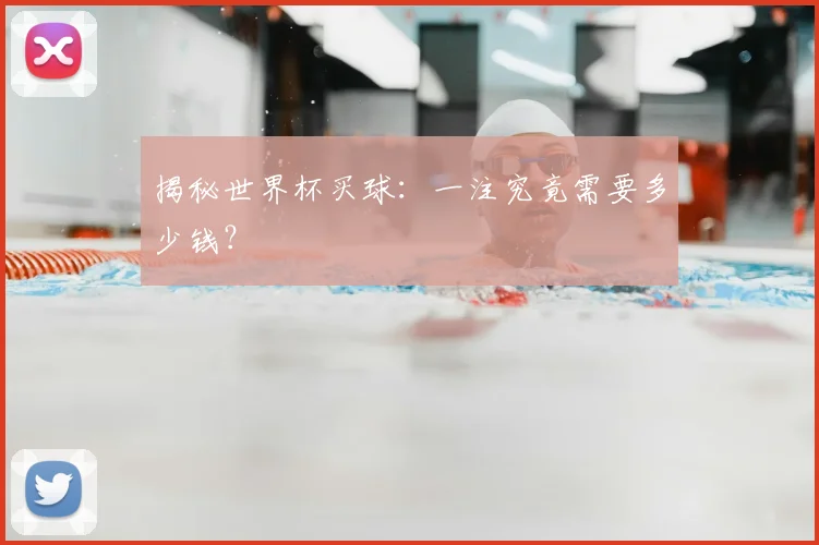 揭秘世界杯买球:一注究竟需要多少钱?